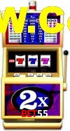Welcome Bonus Bet55
